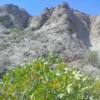 حفرچاه سیمانکاری تخریب و.‌‌‌.‌.