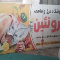 لوازم مرغ فروشی|فروشگاه و مغازه|گرگان, |دیوار