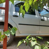 راننده با ماشین دربستی،