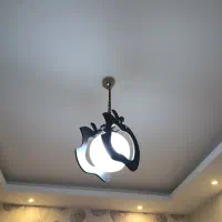 لوستر زیبا نو