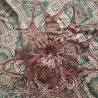 ظرف چک شکسته شده