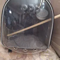 کیف پرنده نو نو حتی یکبارم استفاده نشده