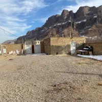 دامداری-اسلامیه