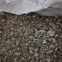 کود کبوتر|گل و گیاه طبیعی|تربت جام, والفجر|دیوار