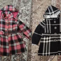 دوعددپالتو نو خیلی گرم