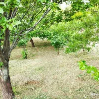 باغ بسیار سرسبز زوریان