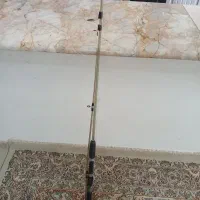 لنسر ماهیگیری