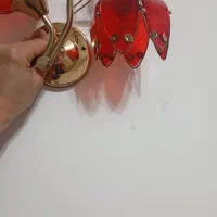 دو عدد لوستر یا شب خواب