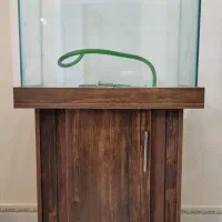 آکواریوم پلنت