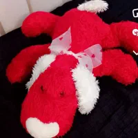 سگ قرمز با گوشهای سفید آویزون نو میباشد