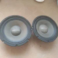 میدبیس