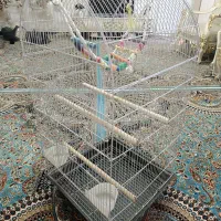 قفس پرنده