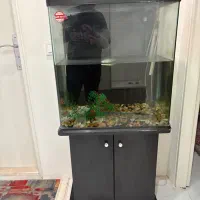 اکواریوم