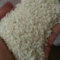 فروش برنج چمپا
