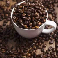 فروش انواع دان قهوه