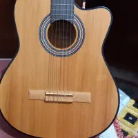 گیتار حرفه ای