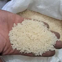برنج هاشمی فریدونکنار  درجه یک به شرط پخت|خوردنی و آشامیدنی|تهران, اتابک|دیوار