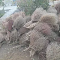 جارو|لوازم نظافت|سبزوار, توحیدشهر|دیوار