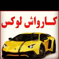 واکس پولیش زن کاربلد