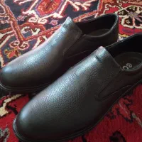 کفش سایز ۴۲