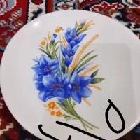 همه بشقابهای و میوه و پیش دستی هستن