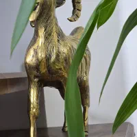 طلا حدود 10 تا 15 گرم