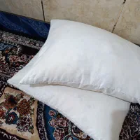 دوتا زیر سری پری و۱۵ عدد رویه زیر سری