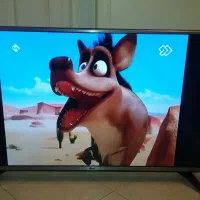 تلویزیون ال جی 43