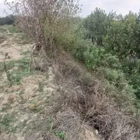 فروش ۴۵۰۰ متر باغ یک ساله|فروش دفتر صنعتی، کشاورزی، تجاری|طبقده, |دیوار