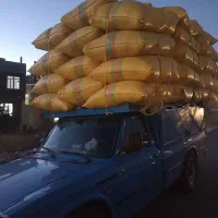 ۲۵۰۰ وزن کاه فردا