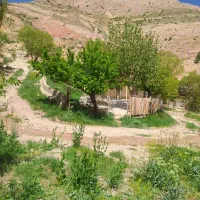 فروش زمین در فیروزکوه ارجمند