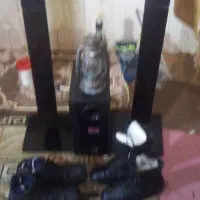 سینما خانواده