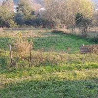 زمین مسکونی