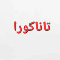 مغازه مانتو پالتو دست دوم|لباس|خرمآباد, |دیوار