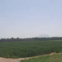 فروش یامعاوضه زمین 5100 متری مناسب گلخانه و باغ|فروش زمین و ملک کلنگی|نجفآباد, کهریزسنگ|دیوار