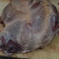 گوشت گرم گوساله