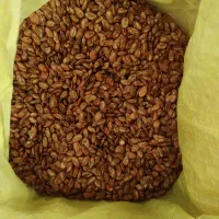 تخمه جابانی