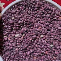 لوبیا قرمز|خوردنی و آشامیدنی|دهگلان, |دیوار