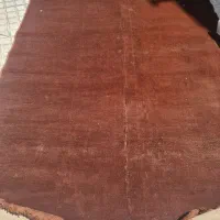 موکت فرش|موکت|الوند, |دیوار