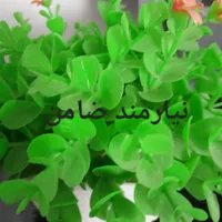 نیازمند ضامن