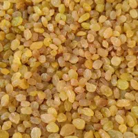 سبزه انگوری