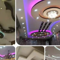 نقاش حرفه ای