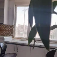 پانسیون و سالن مطالعاتی اوربیتال|خدمات آموزشی|زابل, |دیوار