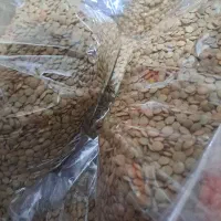 حبوبات و سمنو با بهترین کیفیت و قیمت