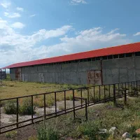 گاوداری۱۰۰راسی،اهردارای‌چاه‌مجوزدار،برق‌سه‌فاز،گاز