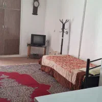 سوئیت اجاره ای مرکز شهر جم|اجارهٔ کوتاهمدت آپارتمان و سوئیت|جم, |دیوار