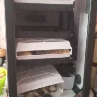 دستگاه جوجکشی 168تایی، اسکندری|لوازم جانبی حیوانات|رشت, گیل|دیوار