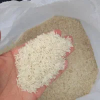 برنج فجرسوزنی