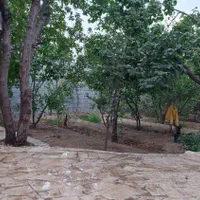 فروش باغ چهاردیواری