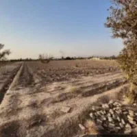 زمین زراعی قابلیت گلخانه سند تک برگ پاکدشت فیلستان